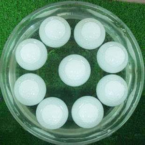 200pcs per lot Hot Sale Two Layer  Plain Floating Golf Ball